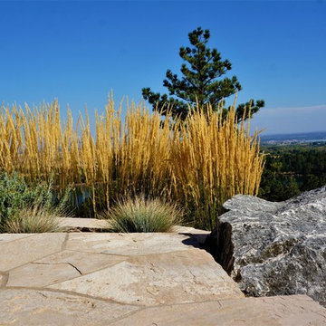 Lake Of The Pines