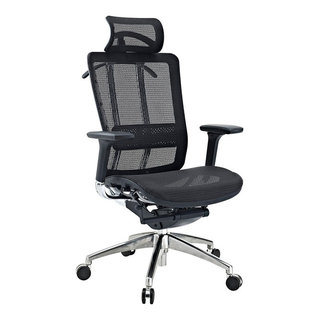 https://st.hzcdn.com/fimgs/31615b51095ce0f9_1067-w320-h320-b1-p10--contemporary-office-chairs.jpg