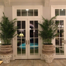 melissa_condron's ideas