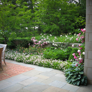Stewart Hass and Associates Projects