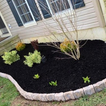 Front Yard Landscaping