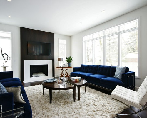 Blue Couch Home Design Ideas, Pictures, Remodel and Decor