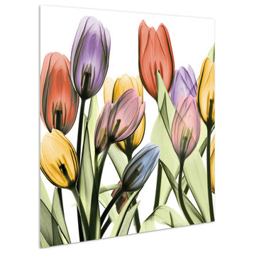 Tulip Scape X-Ray I Flower Wall Art Frameless Free Floating Tempered Glass Panel
