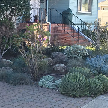 Succulent Bungalow