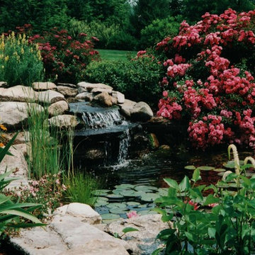 Ponds and Water Features