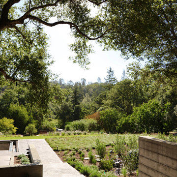 Poolside Rendezvous in Wine Country, Healdsburg