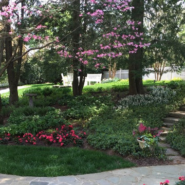 Shade Garden
