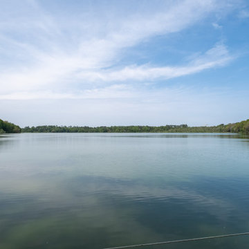 Modern on the Lake
