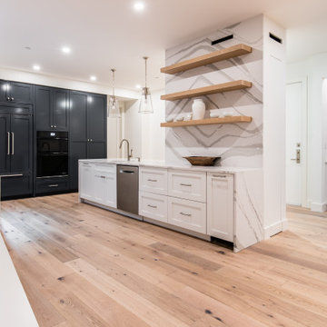Award-Winning Whole Condo Penthouse Remodel