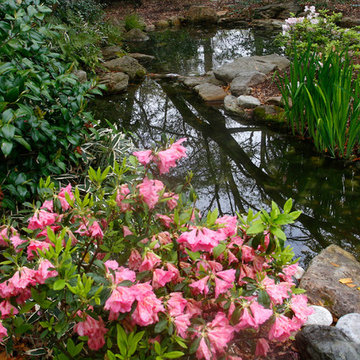 Natural-Looking Pond