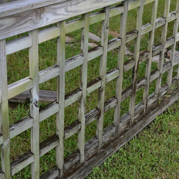Jupiter Farms Animal Enclosure- Goat Closeup