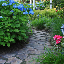 Landscape Ideas