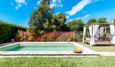 Conseils de pro pour bien entretenir sa piscine