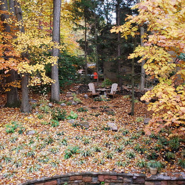 Into the Woods,  Potomac