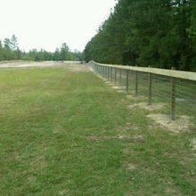 Horse fencing