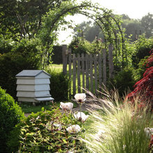 Bees