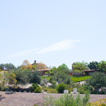 Ranch Living #5