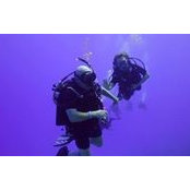 Beverly Rose's photo