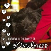 Chris Malone's photo