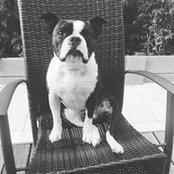 Clayton Chisholm's photo