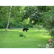 Kathy White's photo