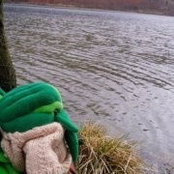 Laura Stevenson's photo
