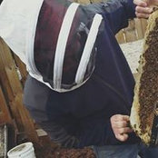 Foto von Jason Kreller