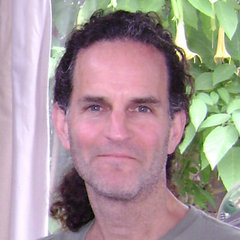 Tal Avitzur