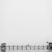 Maddie Nguyen's photo