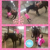 Sarah Phillips's photo