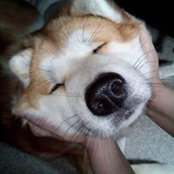 Foto von 李锴钜
