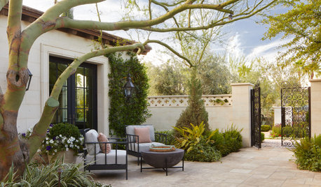 How to Design a Healing Garden at Home