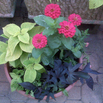 Container Gardens