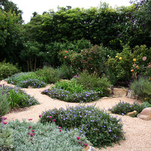 Rose gardens