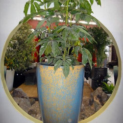 Container gardening - Products