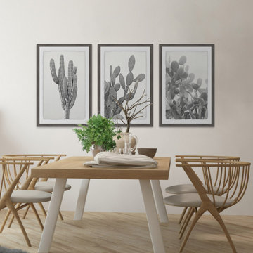Cactus Variety Triptych