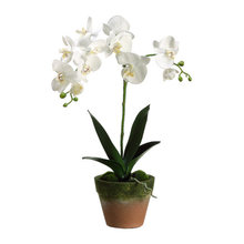 faux plants