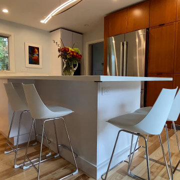 Modern Kitchen Remodel