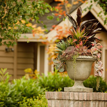 Patio Ideas
