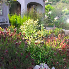 Landscape Idea's