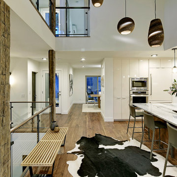 Mount Baker Modern