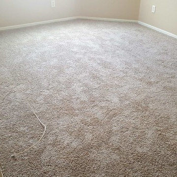 Fixed Up a Nice Rental In Tempe With New Solution-Dyed Carpet