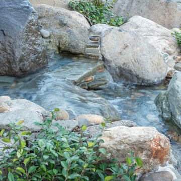 Alamo Estate Natural Swimming pool that brings Lake Tahoe home
