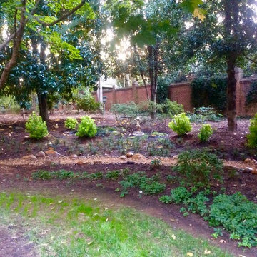 Woodland Garden Makeover