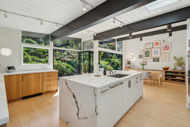 Mid-century modern kitchen photo in San Francisco