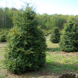 NYS Farms - Products