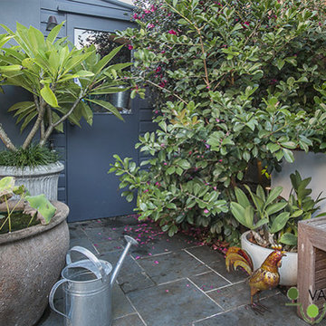SECRET SANCTUARY - ANNANDALE