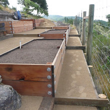3239 Perkins Landscaping