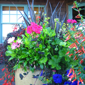 Whidbey Island Deck