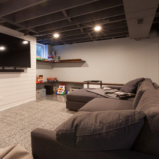 Inspiration for a large classic look-out basement in Chicago with blue walls, concrete flooring, no fireplace and blue floors.